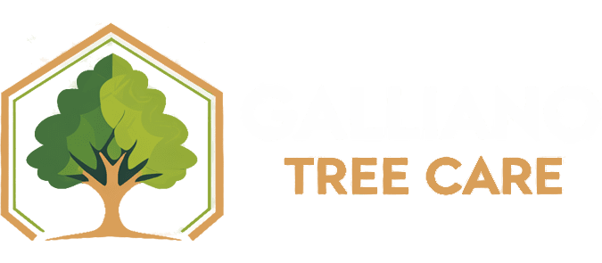 Galliano Tree Care logo — Chattanooga, TN tree service