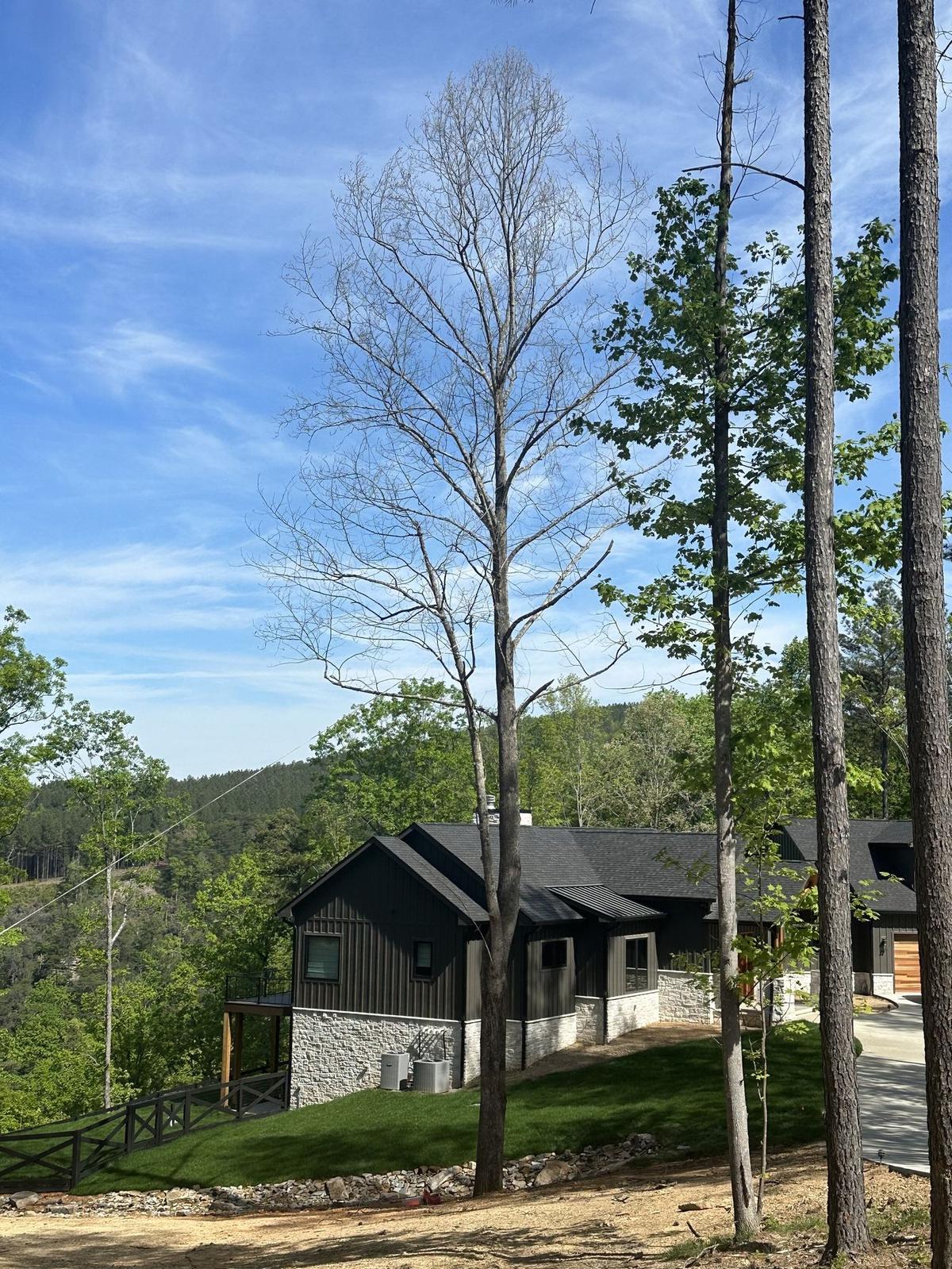 Modern Lookout Mountain home framed by mature trees with a panoramic ridge-line view