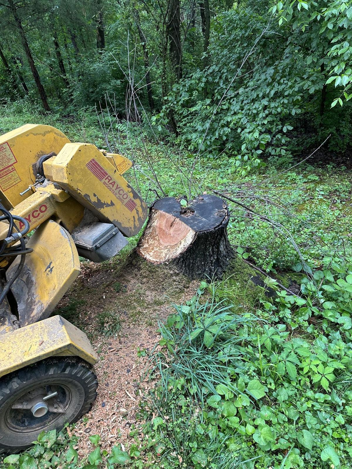 Rayco stump grinder removing a stump below grade
