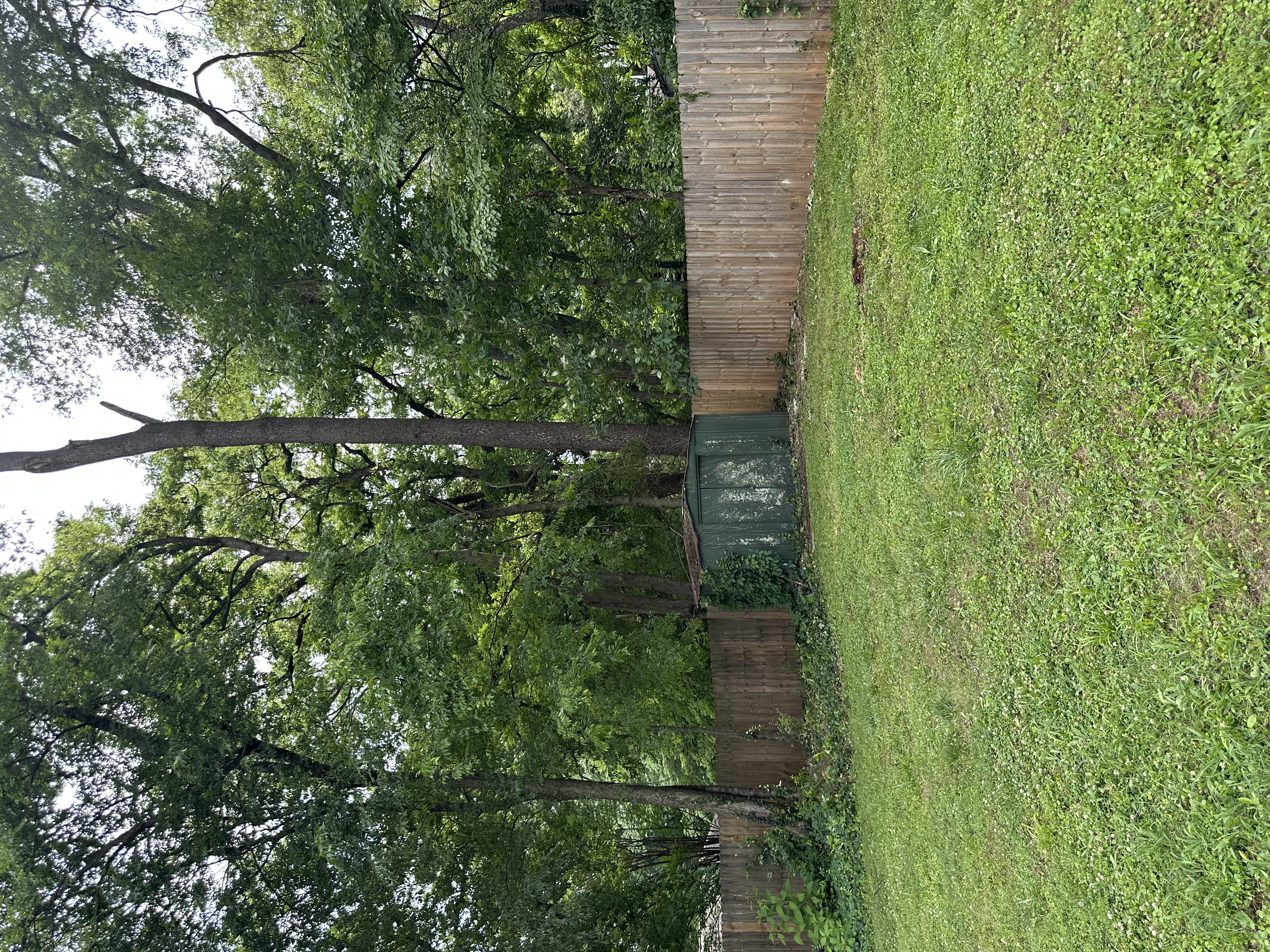 Same backyard cleared and cleaned after Galliano completed the storm cleanup